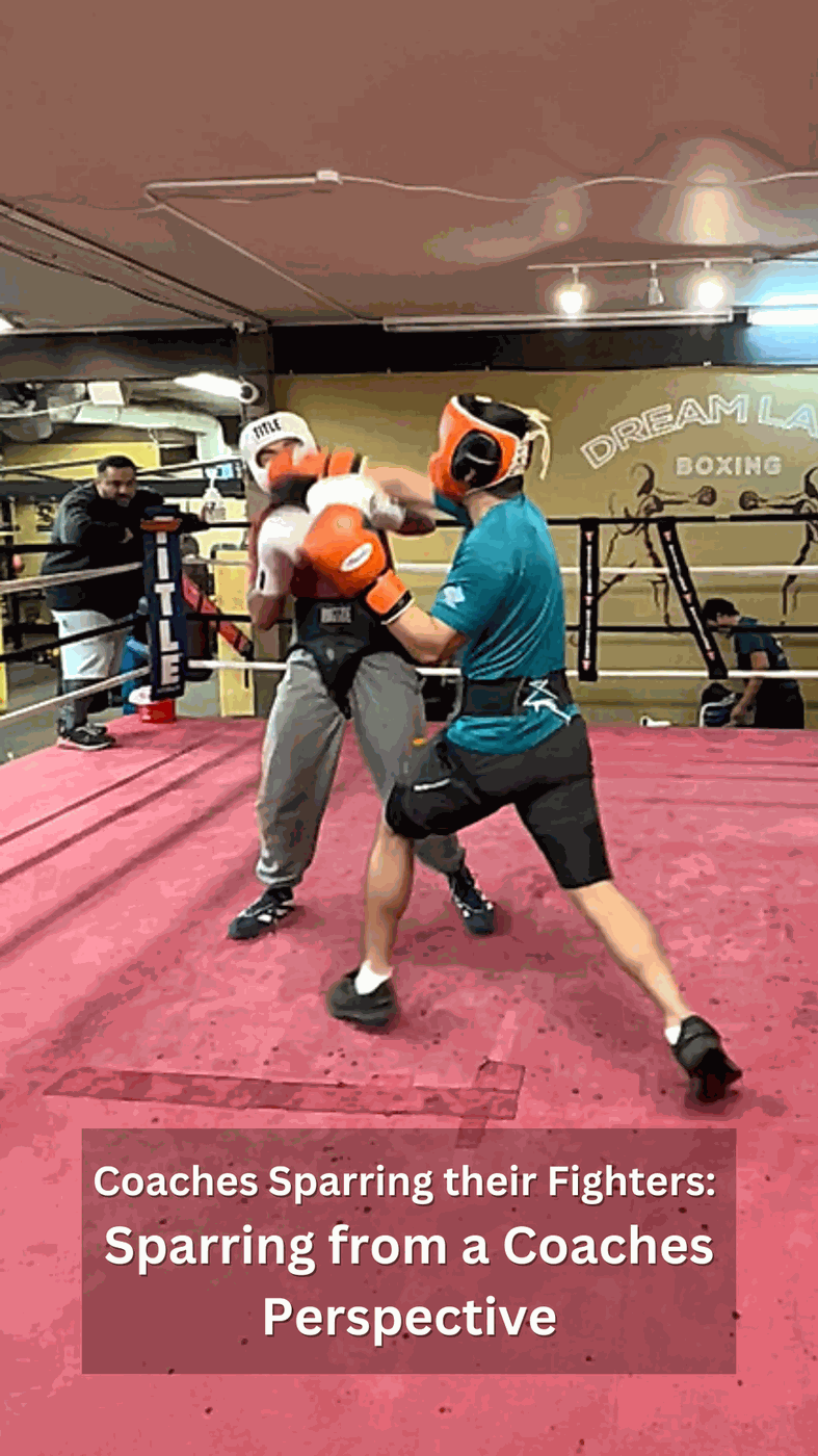 Coaches Sparring their Fighters